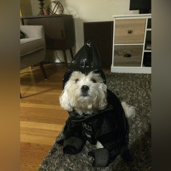 Medium Dog Darth Vader Costume - Picture 12 of 12